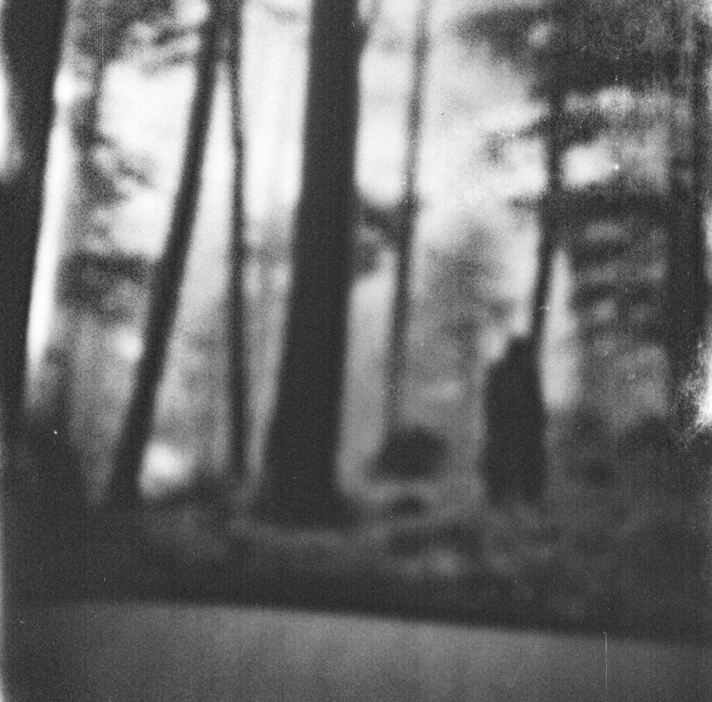 Blurry forest with a shadowy figure adds mystery and intrigue.